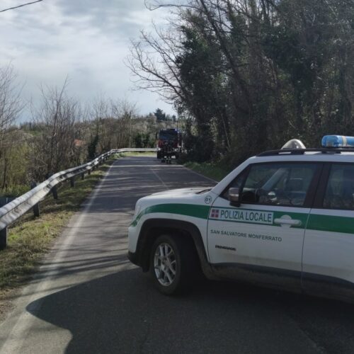 Albero caduto tra San Salvatore e Valenza: strada chiusa