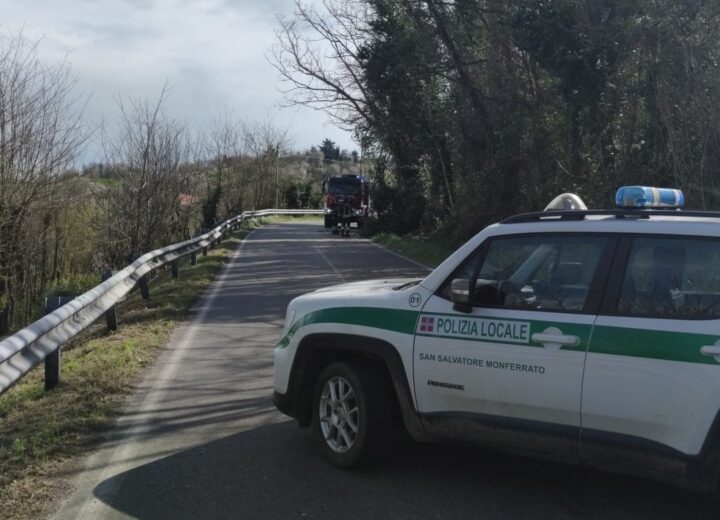Albero caduto tra San Salvatore e Valenza: strada chiusa