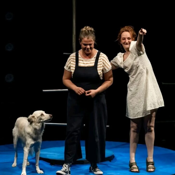 “Aldilà di tutto”: domenica 15 marzo a Casale spettacolo benefico a favore di Vitas