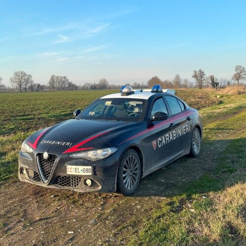 Contrasto dello spaccio nei campi: 5 denunciati e 2 misure cautelari.