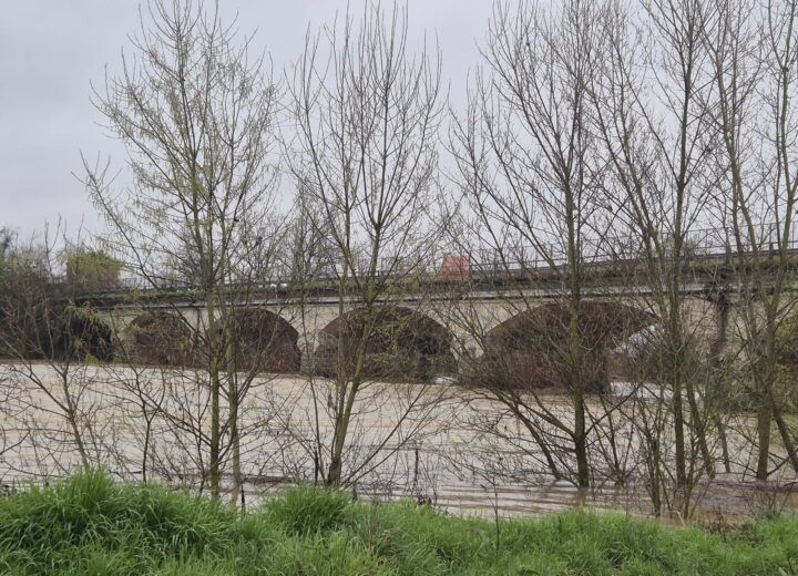 Maltempo: le foto del fiume Bormida tra Alessandria e Spinetta