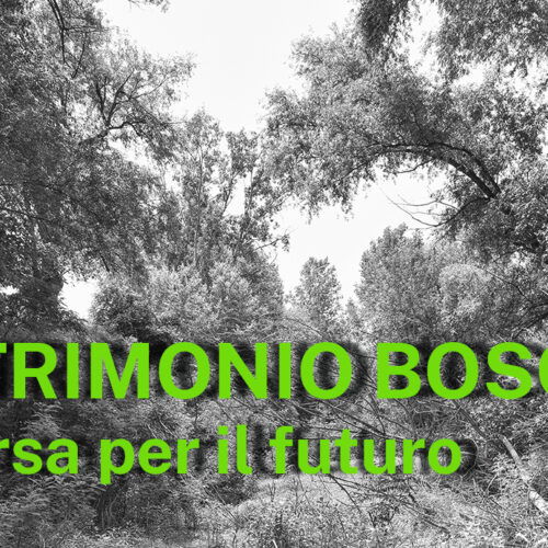 Martedì ad Alessandria un incontro sui boschi come risorsa per il futuro