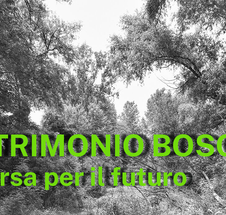 Martedì ad Alessandria un incontro sui boschi come risorsa per il futuro