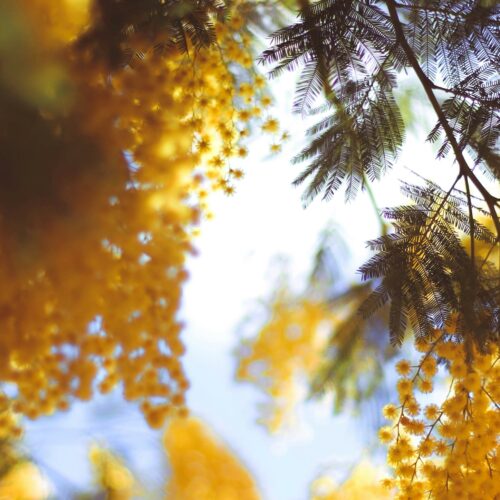 Cosa fare in provincia di Pavia sabato 7 e domenica 8 marzo