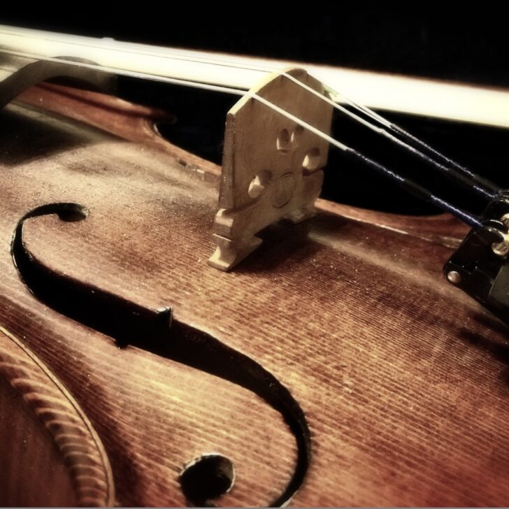 Borse di studio “Gustavo e Delfina Ivaldi” per gli studenti del Vivaldi: presentazione domande fino al 24 aprile