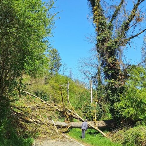 Forte vento in tutto l’Alessandrino. Strada bloccata e blackout a Valle San Bartolomeo