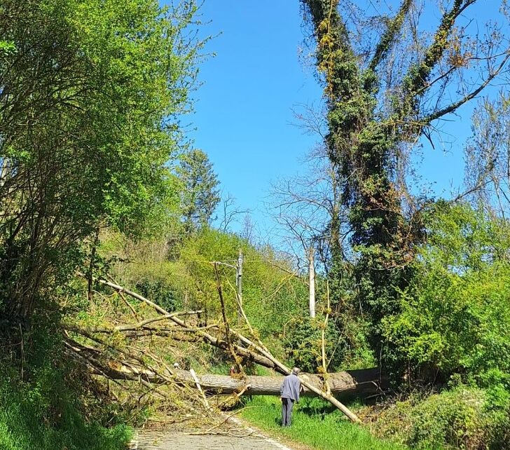 Forte vento in tutto l’Alessandrino. Strada bloccata e blackout a Valle San Bartolomeo