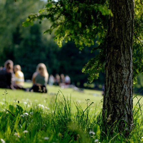 Cosa fare nel weekend di Pasqua e Pasquetta in provincia di Pavia