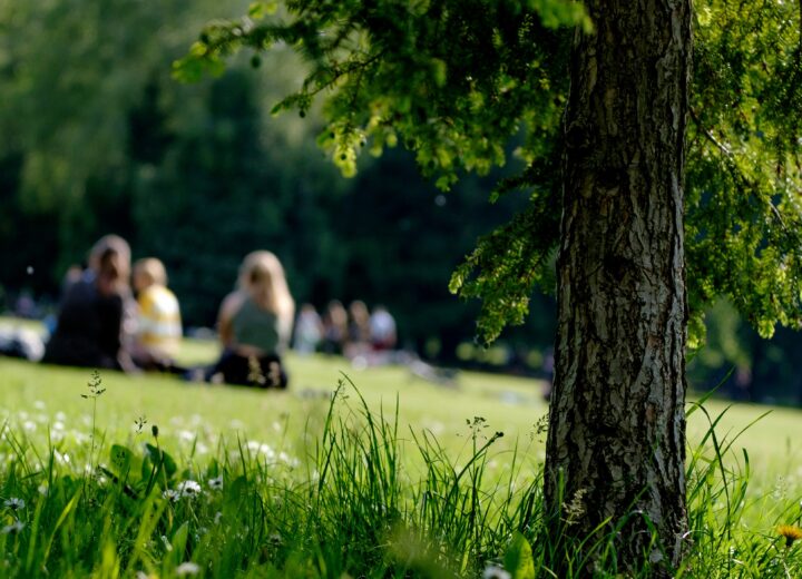 Cosa fare nel weekend di Pasqua e Pasquetta in provincia di Pavia