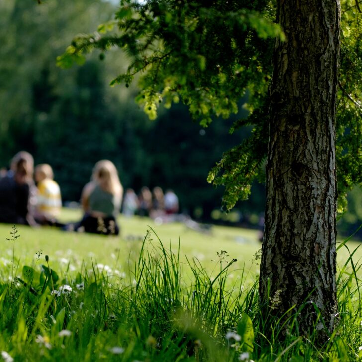 Cosa fare nel weekend di Pasqua e Pasquetta in provincia di Pavia