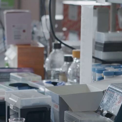 Regione Piemonte: numeri positivi per i Servizi di prevenzione nel 2025