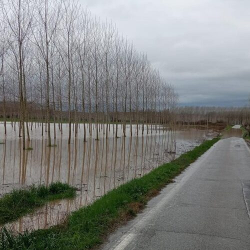 Maltempo: le criticità sulle strade della provincia [IN AGGIORNAMENTO]