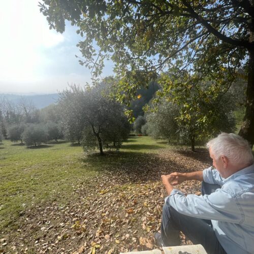 Gli uliveti di Murisengo diventano De.Co.