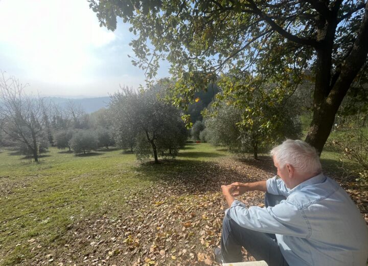 Gli uliveti di Murisengo diventano De.Co.