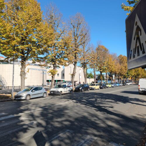 Viale Michel, un attraversamento pedonale rialzato contro i troppi incidenti: “Lavori ad aprile”