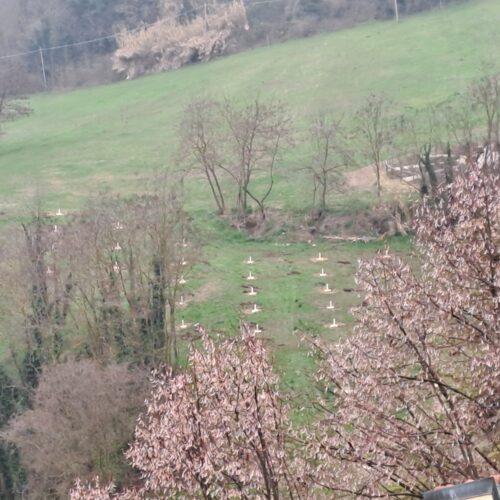 A Rosignano Monferrato un progetto innovativo: nasce la “Tartufaia sperimentale”