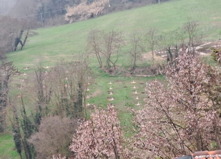 A Rosignano Monferrato un progetto innovativo: nasce la “Tartufaia sperimentale”