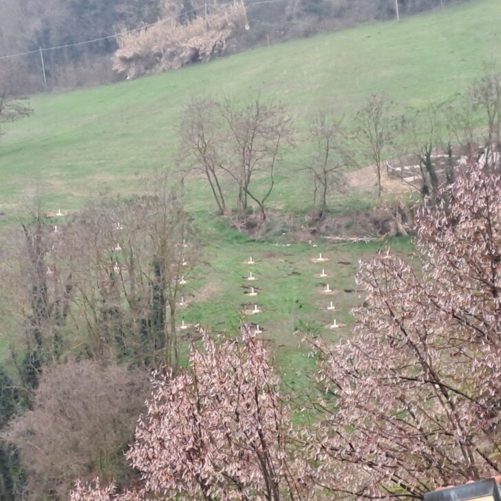 A Rosignano Monferrato un progetto innovativo: nasce la “Tartufaia sperimentale”