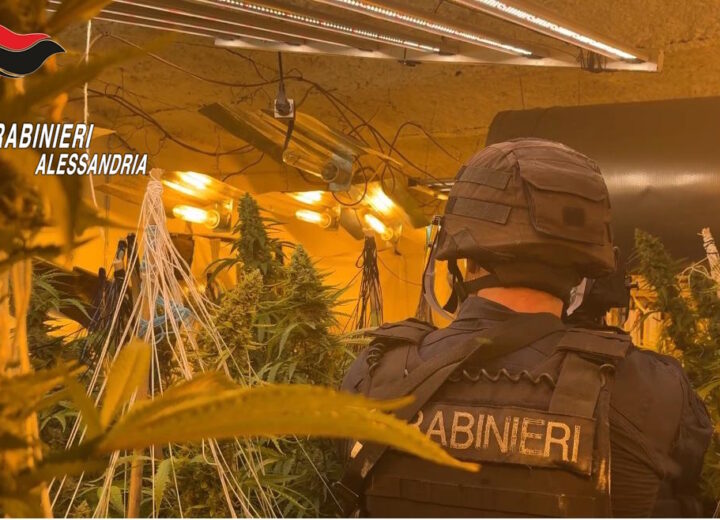 Maxi serra di marijuana in casolare dell’Acquese: arrestato 23enne, sequestrati 135 chili di droga