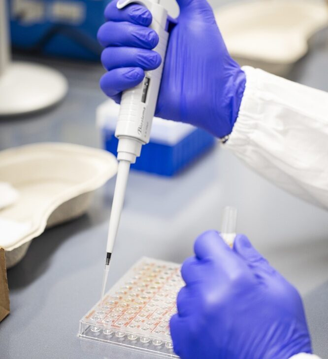 L’IRCCS Maugeri Pavia alla Innovation Week con due appuntamenti