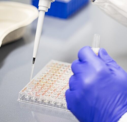 L’IRCCS Maugeri Pavia alla Innovation Week con due appuntamenti