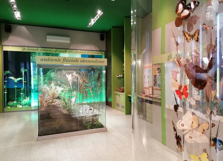 Weekend di Pasqua nei musei di Alessandria: aperture straordinarie e ultimi giorni per le mostre di Gardella e Introini