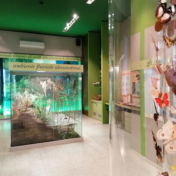 Weekend di Pasqua nei musei di Alessandria: aperture straordinarie e ultimi giorni per le mostre di Gardella e Introini