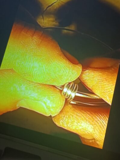 Grafite Projet: la bottega dove imparare l’arte orafa e dare all’amore la forma di un gioiello unico