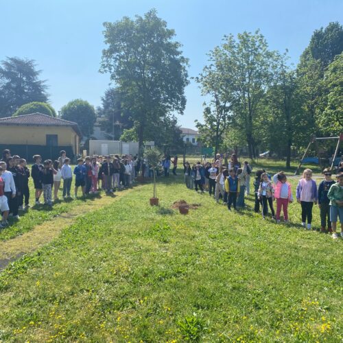 Prosegue il progetto Alberiamo Alessandria: a Litta Parodi altre quattro piantumazioni