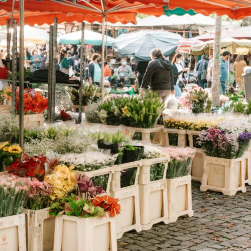 Cosa fare in provincia di Alessandria domenica 3 maggio