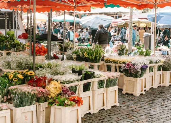 Cosa fare in provincia di Alessandria domenica 3 maggio