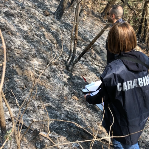 Incendio di un bosco al Brallo di Pregola: innescato dal proprietario di un terreno agricolo