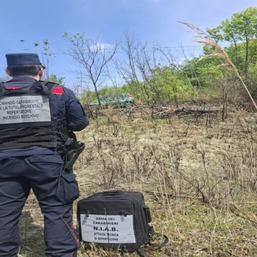 Bosco in fiamme a Fortunago: denunciato un 64enne