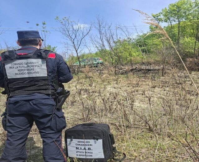 Bosco in fiamme a Fortunago: denunciato un 64enne