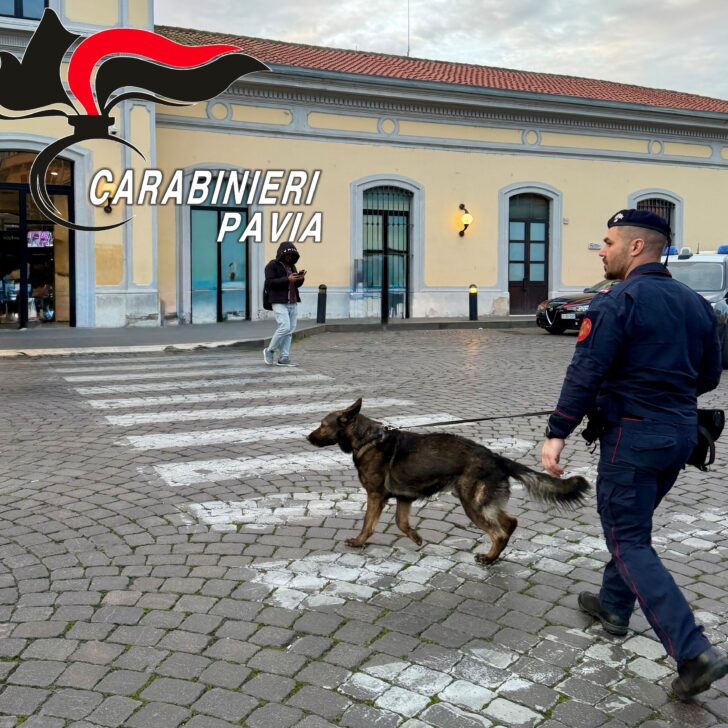 Controlli in centro a Pavia: grazie al pastore tedesco “Mitch” trovati 5 grammi di hashish