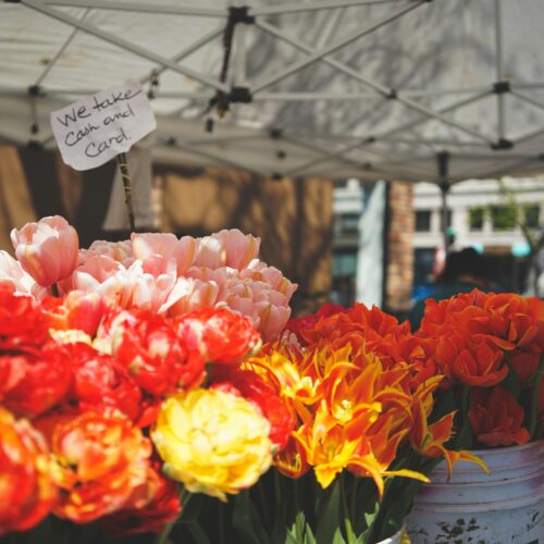 Fiere e sagre del weekend del 25 aprile in Piemonte