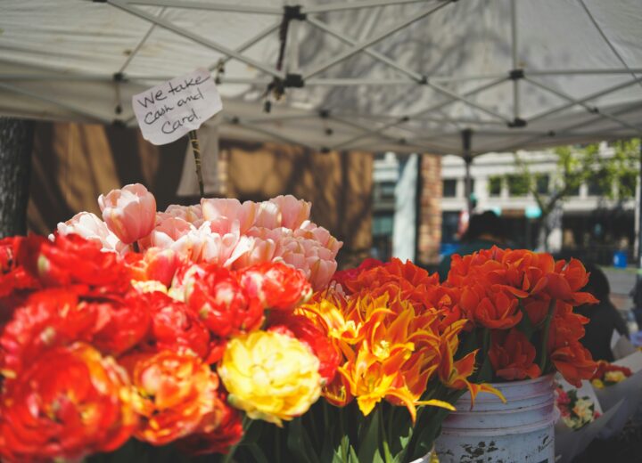 Fiere e sagre del weekend del 25 aprile in Piemonte