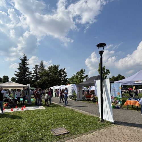 Alla StrAlessandria torna la Festa del Volontariato: oltre 40 associazioni protagoniste al Parco Carrà