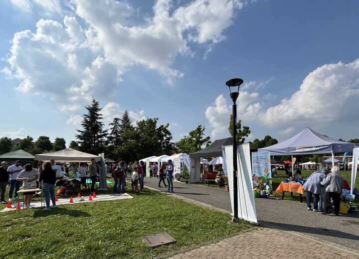 Anche Radio Gold alla Festa del Volontariato. Musica, sport e divertimento aspettando la StrAlessandria
