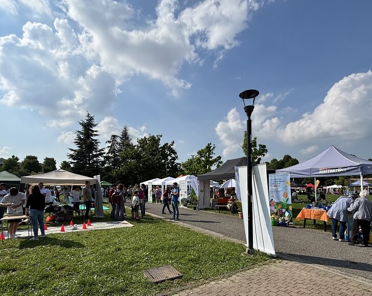 Alla StrAlessandria torna la Festa del Volontariato: oltre 40 associazioni protagoniste al Parco Carrà