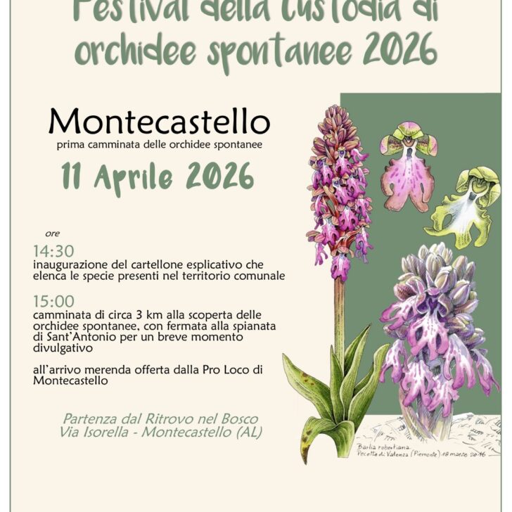 Festival delle orchidee spontanee: sabato 11 aprile a Montecastello una camminata tra natura e scoperta