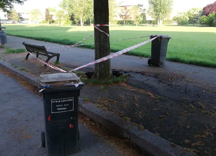 Incendiato albero in via Paolo Sacco
