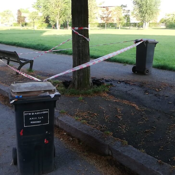 Incendiato albero in via Paolo Sacco