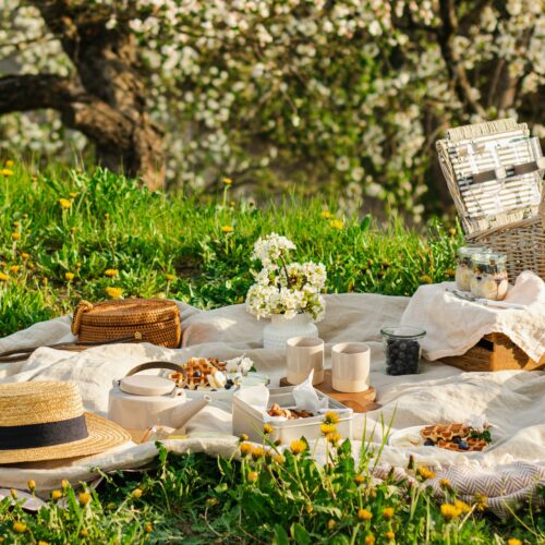 Cosa fare a Pasquetta in provincia di Alessandria. Gli eventi di lunedì 6 aprile