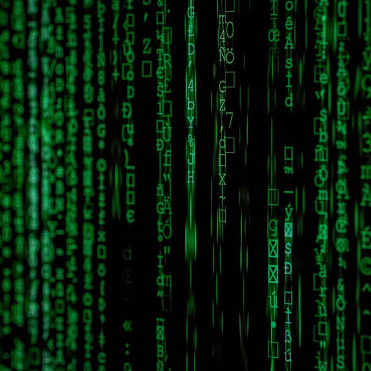 Pavese arrestato per discriminazione razziale: nei suoi video Schlein e Meloni definite “burattini degli ebrei”