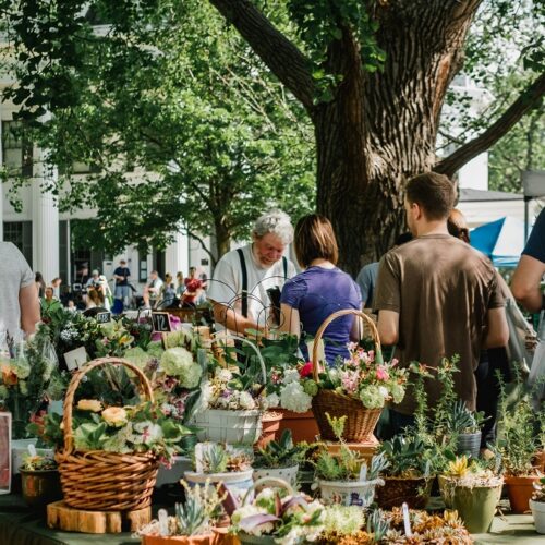 Fiori, sapori e tradizioni: sagre e fiere del weekend in Piemonte