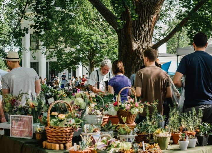 Fiori, sapori e tradizioni: sagre e fiere del weekend in Piemonte