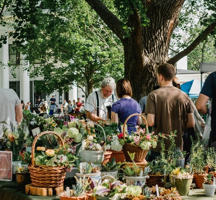 Fiori, sapori e tradizioni: sagre e fiere del weekend in Piemonte
