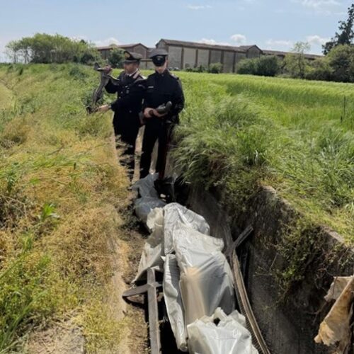 Furti al cimitero di Sartirana Lomellina. Carabinieri recuperano vasi, statue e croci