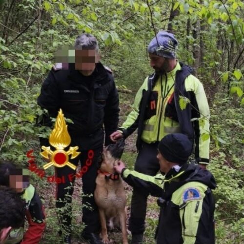 Anziana dispersa ritrovata grazie al fiuto di “Floki”, cane da ricerca dei Vigili del Fuoco di Pavia